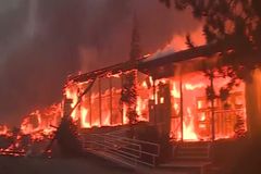'The woods exploded' amid pastor's fire rescue | Baptist Press