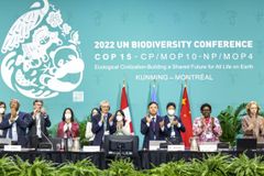 190 Countries Agree to Protect 30 Percent of Earth’s Land and Water by 2030 - RELEVANT