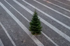 Unsettling Advent 2022, Day 24