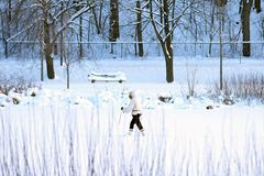 Deep freeze grips much of U.S.