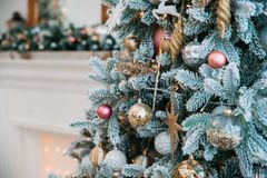 The Christmas tree is a tradition older than Christmas