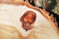 Turns Out Jesus is Very Poplar - RELEVANT