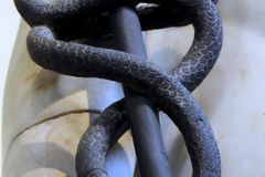 It’s too easy to twist the Bible