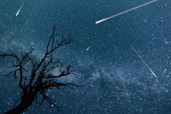 Astrology Interest Is Rising, Even in the Church: 'A Wave of Astrology Opens the Door to Hell'