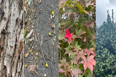 A Different Way To Honor MLK This Year