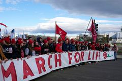 Attorney who won Dobbs speaks at March for Life