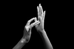 Chameleon: Changing the Way the Deaf Community Discovers Jesus