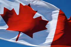 Canada's Gov't Assisted Suicide Program Leads the World in Harvesting 'Live' Organs