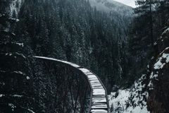 Can America survive the radical leftward shift of the culture?