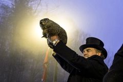 And the Result of Groundhog Day Is … Wrong 60 Percent of the Time - RELEVANT