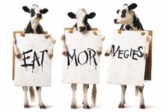 Chick-fil-A Announces New Fried Cauliflower Sandwich - RELEVANT