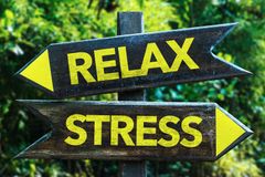 Stressed Out? Here Are 7 Ways to Chill Out and Protect Your Health