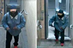 Gunman kills three, wounds five at Michigan State University