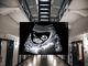 A Florida Lawyer Argues That a Pregnant Inmate's Unborn Child Is Being Illegally Detained - RELEVANT