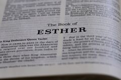 Do I step out or not? 7 reasons from the book of Esther