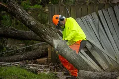 DR DIGEST: Decisions for Christ recorded as DR work goes on in Arkansas, Mississippi | Baptist Press