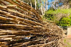 God’s Other Divine Word