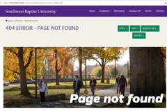 SBU Drops New Governing Document Amid Court Challenge