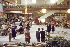 The Mall, the Tiger, and Our Unendurable Isolation