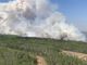 Canadian oil and gas companies pause production as wildfires continue