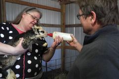 Saving the Farm: Heartland Clergy Train to Prevent Agriculture Workers’ Suicides