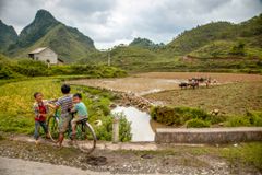 Missionaries use practical skills to advance Gospel  | Baptist Press