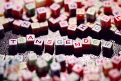 21 States Challenge Florida School’s Transgender Policy