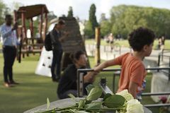 Four toddlers, two adults injured in knife attack in French town