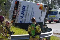Australian bus crash kills 10 wedding guests