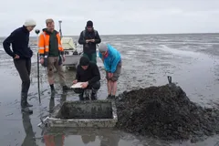 In Church Remains, German Archaeologists Discover the Truth of ‘Atlantis of the North Sea’