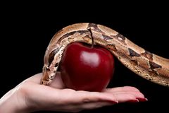 Snakes and serpents in the Scriptures