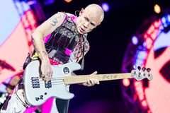 Red Hot Chili Peppers’ Flea recalls moment God ‘made perfect sense’