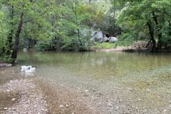 The free gift of the water of life