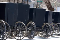 Court Sides With Amish Families in Case That Pits Septic Tank Rules Against Religious Beliefs