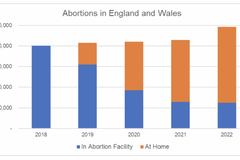 At-home abortions are putting women's health at risk
