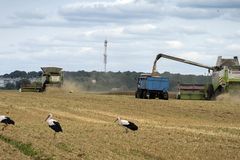 Russia ends wartime grain deal with Ukraine