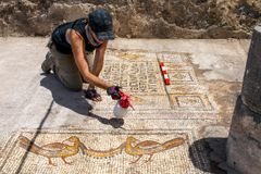 Archaeologists Uncover Mosaic Floor From 5th Century Church Near Sea of Galilee