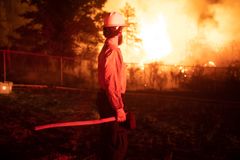 13-y-o grandson of Enchanted Forest founder among multiple dead as wildfires ravage Western states