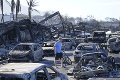 Hawaii launches investigation into wildfire response