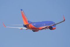 Christian Flight Attendant Fired Over Opposition to Union's Support of Women's March, Lawsuit Claims