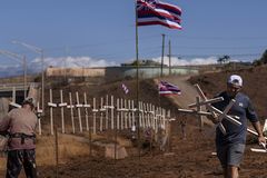 Maui County sues Hawaiian Electric Company over recent fires
