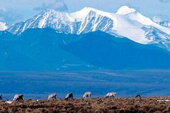 Biden cancels oil and gas leases in Alaska’s Arctic Refuge.