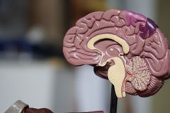 Christian neurologist details ethical parameters of brain-reading technology