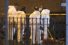 Al Sharpton Calls for Peace After Critics Blame Him, Mayor de Blasio for NYPD Shootings; 'They Have Blood on Their Hands'