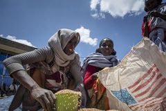 U.S. food aid resumes to refugees in Ethiopia after months-long pause