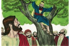 Can Salvation Come to Southern Seminary?