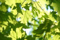 Don't despair! Embracing mistakes is all part of personal growth and self improvement