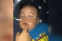 Alfie Evans' Parents 'Heartbroken' Over Son's Death Days After Hospital Turned Off Life Support