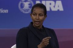 Ayaan Hirsi Ali says critical race theory is 'worst philosophy,' teaches kids to 'hate' each other