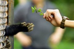 Darwinizing the universe: A theory that explains everything explains nothing